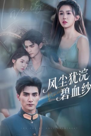 风尘犹浣碧血纱 (2025) poster