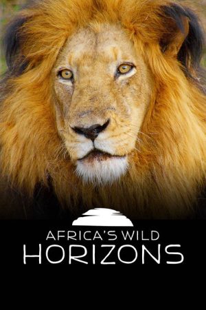 Africa’s Wild Horizons (2016) poster
