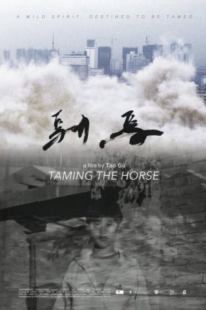 Taming the Horse (2017) poster