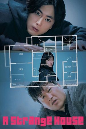 A Strange House (2024) poster