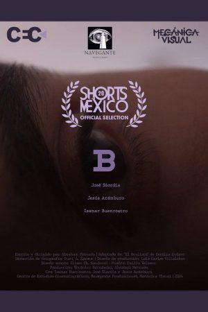 B (2025) poster