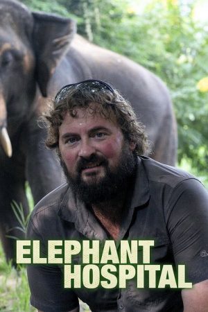 Elephant Hospital (2020) poster