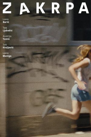 Patch (2026) poster