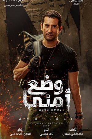 Security Situation (2017) poster
