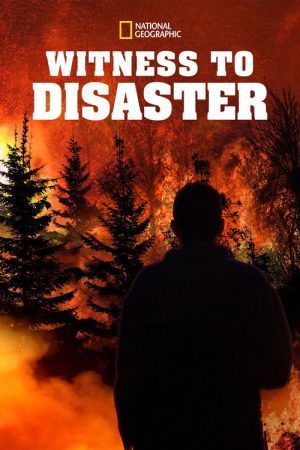 Witness to Disaster (2019) poster