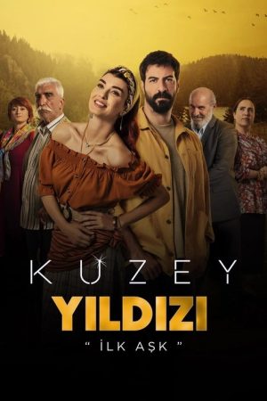 Kuzey Yıldızı: İlk Aşk (2019) poster