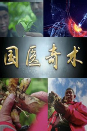 国医奇术 (2019) poster