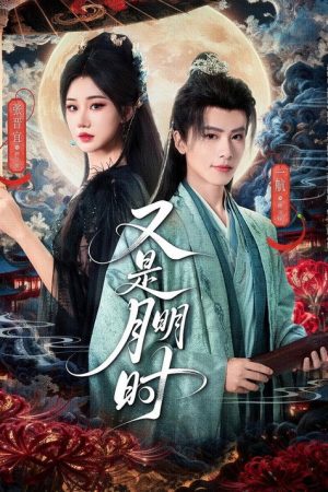 又是月明时 (2025) poster