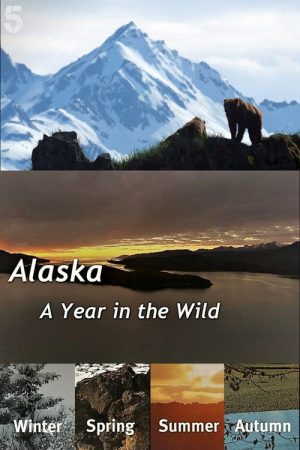 Alaska: A Year in the Wild (2017) poster