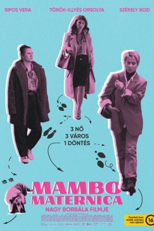 Mambo Maternica (2026) poster