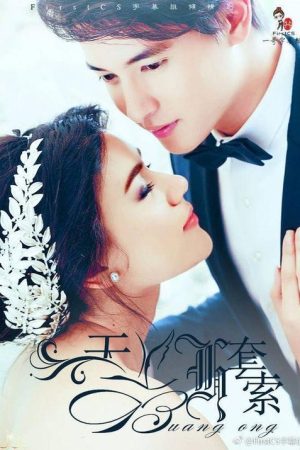 A Lasso For a Swan (2017) poster