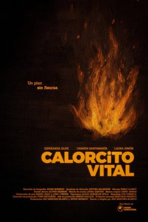 Calorcito vital (2025) poster
