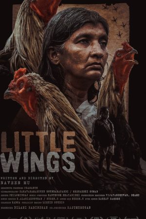 Little Wings (2026) poster