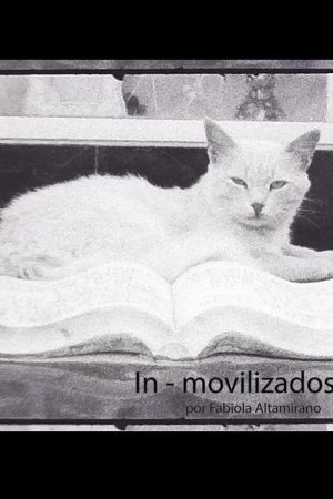 In – movilizados (2020) poster