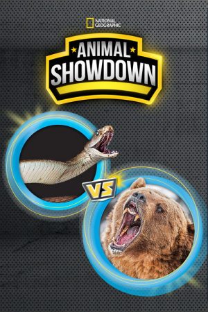 Animal Showdown (2018) poster