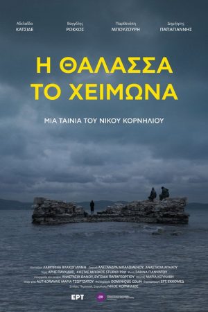 Winter Sea (2026) poster