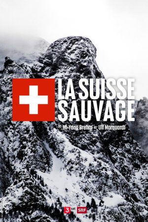 Wild Faces of Switzerland (2017) poster