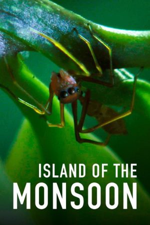 Island of the Monsoon (2018) poster