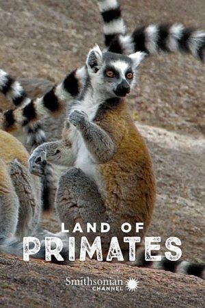 Land of Primates (2016) poster