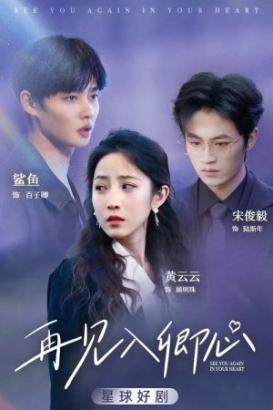 再见入卿心 (2023) poster