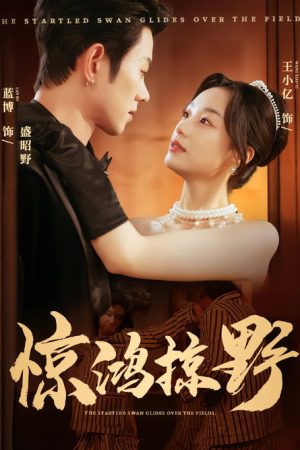 Wild Grace Unleashed (2025) poster
