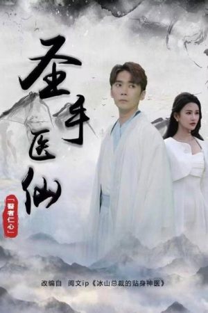 圣手医仙 (2023) poster