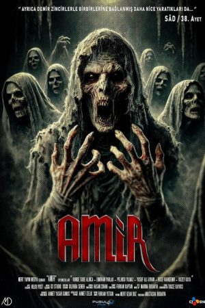 Amir (2024) poster