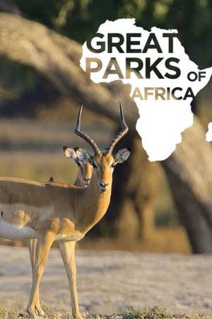 Great Parks of Africa (2016) poster