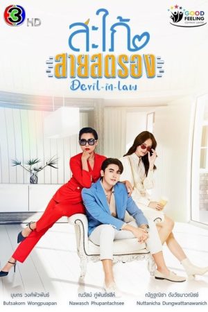 Devil In Law (2023) poster