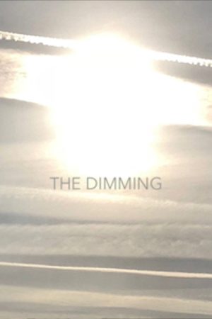The Dimming (2021) poster