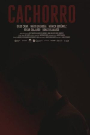 Cachorro (2020) poster