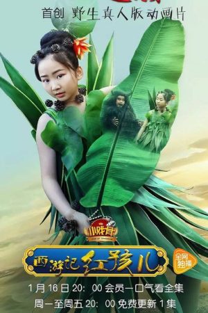 小戏骨：西游记 (2017) poster