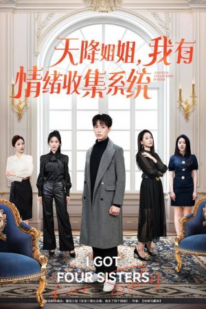 天降姐姐，我有情绪收集系统 (2025) poster
