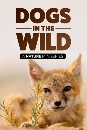 Dogs in the Wild (2023) poster