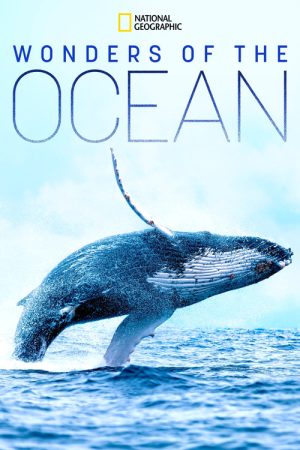 Wonders of the Ocean (2019) poster