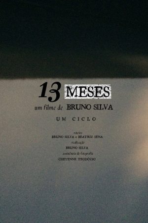 13 MESES (2021) poster