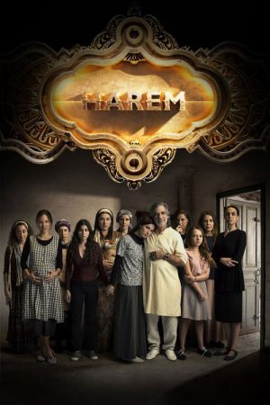 Harem (2018) poster