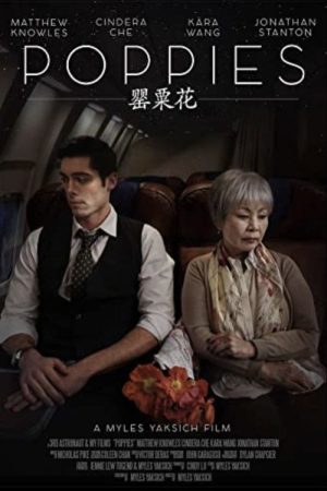Poppies (2018) poster