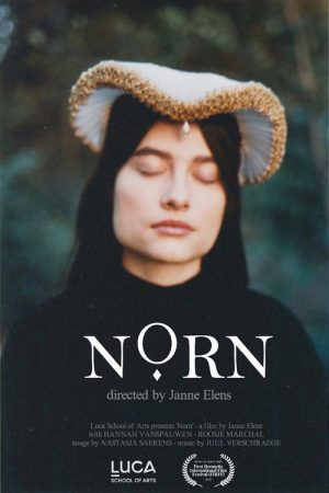 Norn (2018) poster