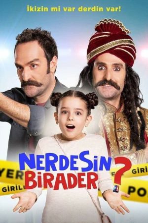 Nerdesin Birader? (2017) poster