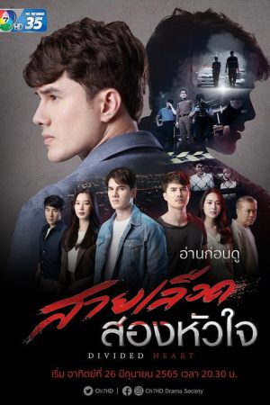 Divided Heart (2022) poster