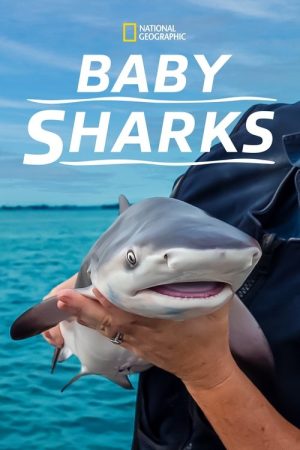 Baby Sharks (2022) poster