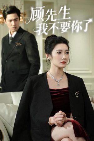 顾先生我不要你了 (2026) poster