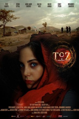 Dust (2017) poster