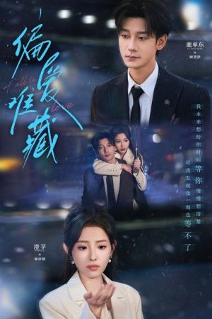 偏爱难藏 (2026) poster