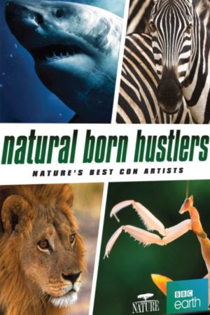 Natural Born Hustlers (2016) poster