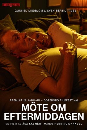 Afternoon Encounter (2017) poster