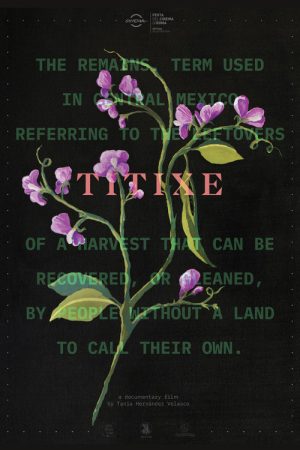 Titixe (2018) poster