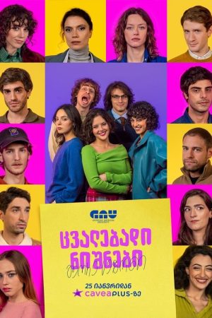 Changing Signs (2023) poster