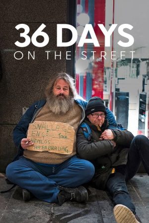 36 Days on the Street (2018) poster